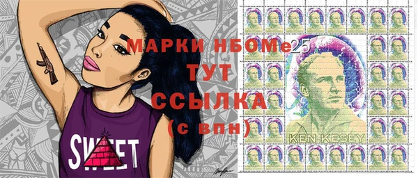 соль ск Касимов