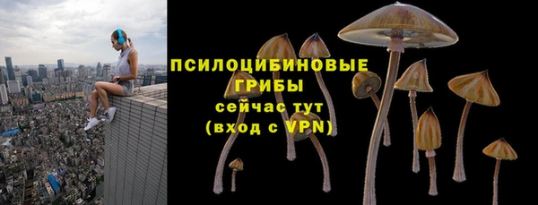 соль ск Касимов