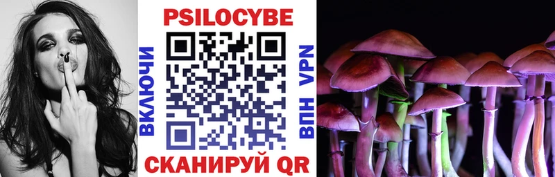 Купить закладки  Менделеевск  Псилоцибиновые грибы GOLDEN TEACHER 